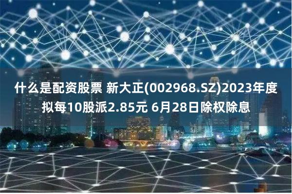 什么是配资股票 新大正(002968.SZ)2023年度拟每10股派2.85元 6月28日除权除息