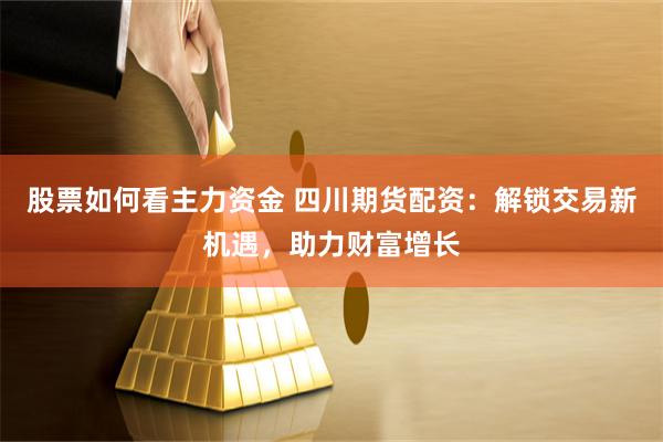 股票如何看主力资金 四川期货配资：解锁交易新机遇，助力财富增长