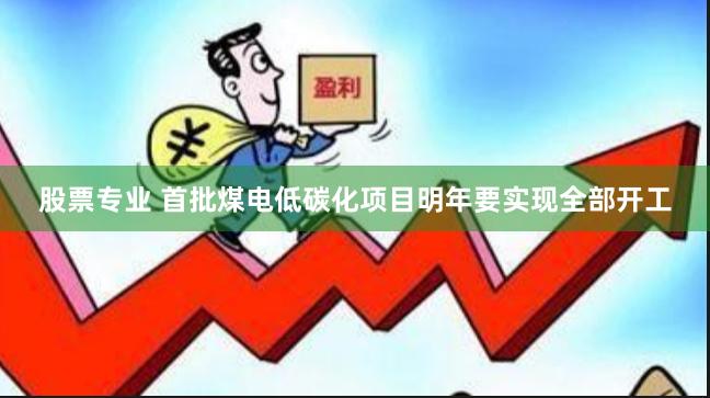 股票专业 首批煤电低碳化项目明年要实现全部开工