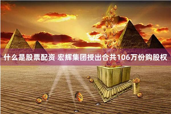 什么是股票配资 宏辉集团授出合共106万份购股权